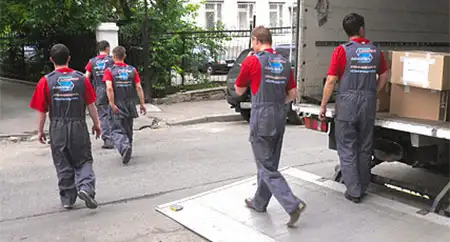 Removals to Germany Removals to Germany